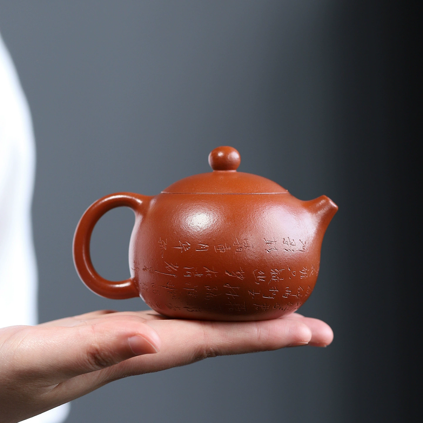 Handmade ZishaTeapot Spring Plum Xishi Teapot - Image 5